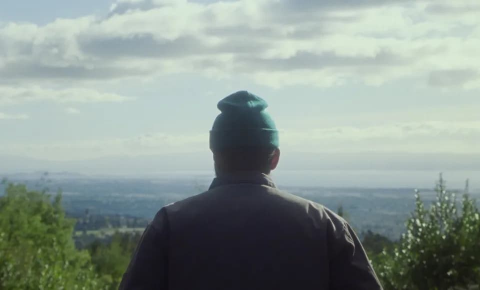Man in a green beanie seen from behind, looking out over a hazy valley with green shrubs in the foreground