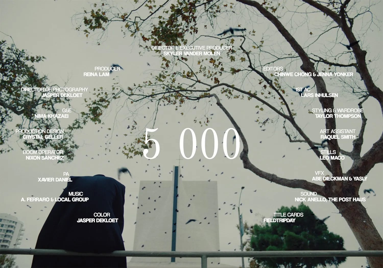 Film credits card over a grey sky with a flock of birds, bare trees and a white church tower, crew names in white text