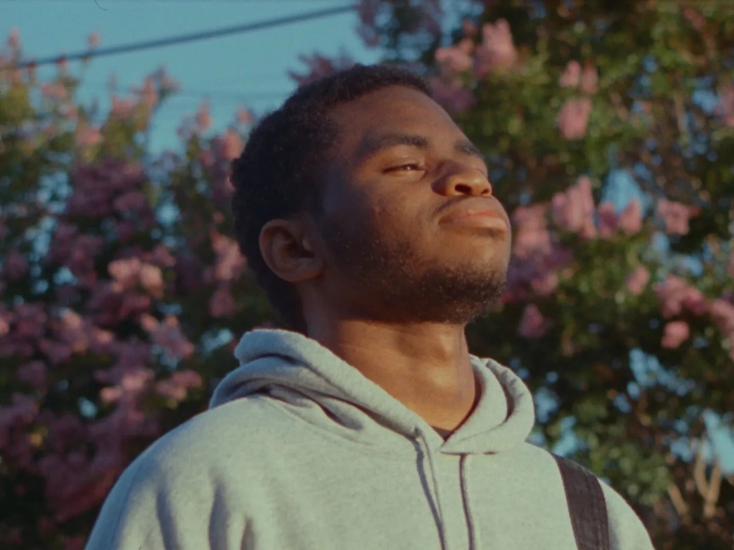 Frame from the Ovrkast. Face music video: man in a grey hoodie tilts his face up in front of pink blossoms